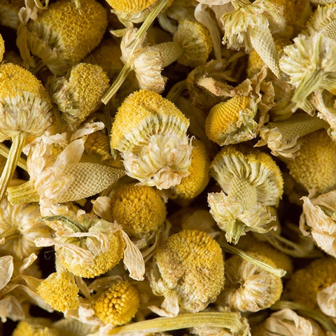 Camomille - Infusion 21 sachets suremballés