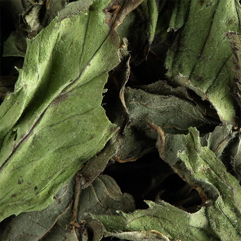 Menthe poivrée - Infusion 25 sachets