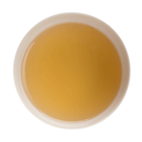 Jaune Lemon - Thé vert 24 sachets suremballés