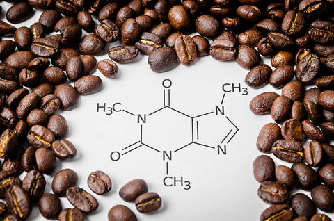 Caféine et café : 5 idées reçues | Maison Merling