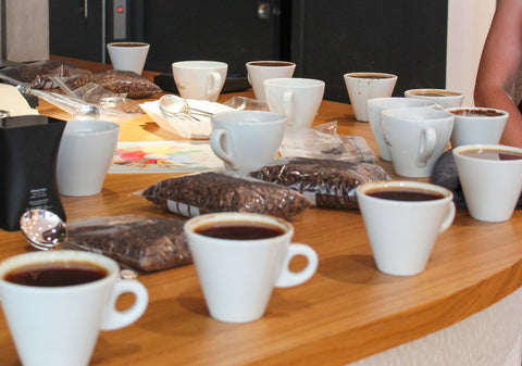 Café de spécialité : définition et score SCA